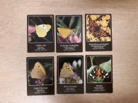 6 Postkarten Schmetterlinge Baden-Württemberg - Sulzburg Vorschau