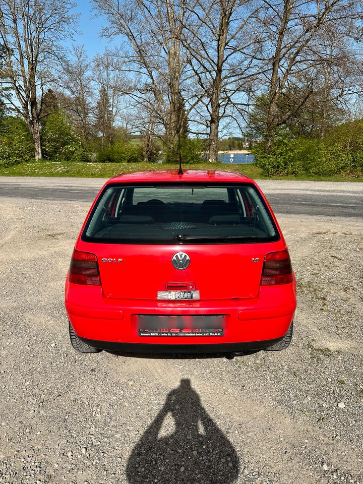 VW Golf 4 1,6 in Marktoberdorf