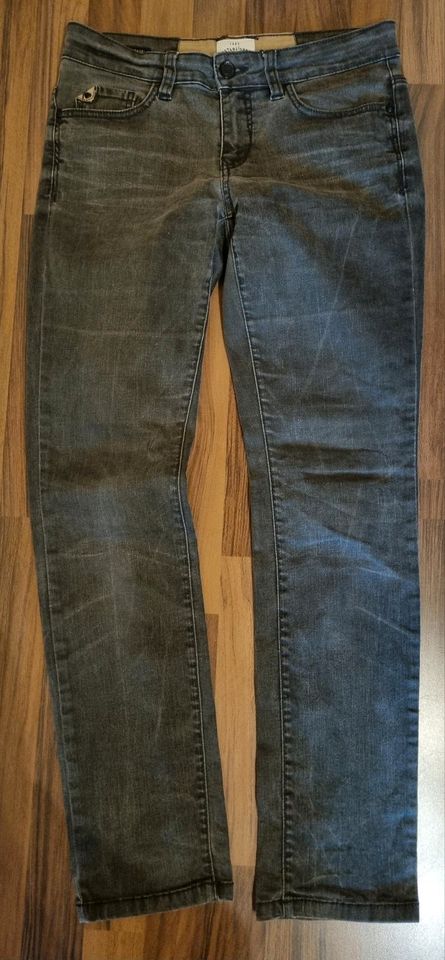 Hose, Jeans Cecil Tom Tailor W29 in Bielefeld