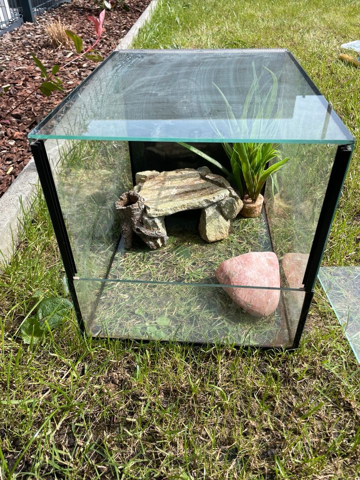 Terrarium mit Zubehör abzugeben in Viersen