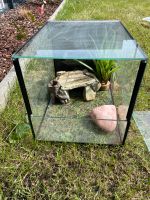 Terrarium mit Zubehör abzugeben Nordrhein-Westfalen - Viersen Vorschau