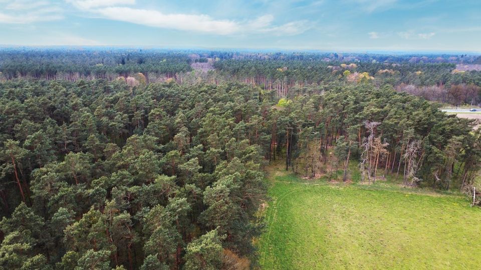 0,7 ha Waldfläche in Wiesenburg/Mark