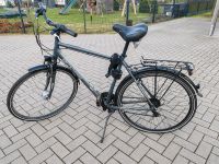 Boccas Fahrrad 28 Zoll zu verkaufen Niedersachsen - Brietlingen Vorschau