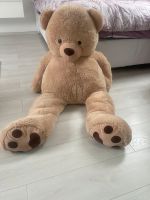 XXL Teddybär Baden-Württemberg - Rheinfelden (Baden) Vorschau