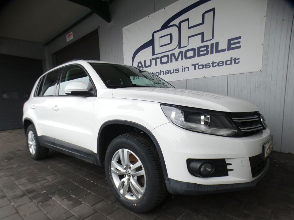 Volkswagen Tiguan 16" ALU NEUE GANZJAHRESREIFEN SITZHEIZUNG in Tostedt