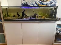 Aquarium 225L+Schrank+Zubehör+5 Fische Hessen - Reinheim Vorschau