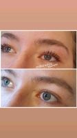 Schulung Wimpernlifting oder Brow lifting Einzelschulung Hannover - Südstadt-Bult Vorschau