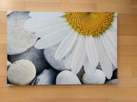 Leinwandbild Canvas mit Margeriten Print Niedersachsen - Springe Vorschau