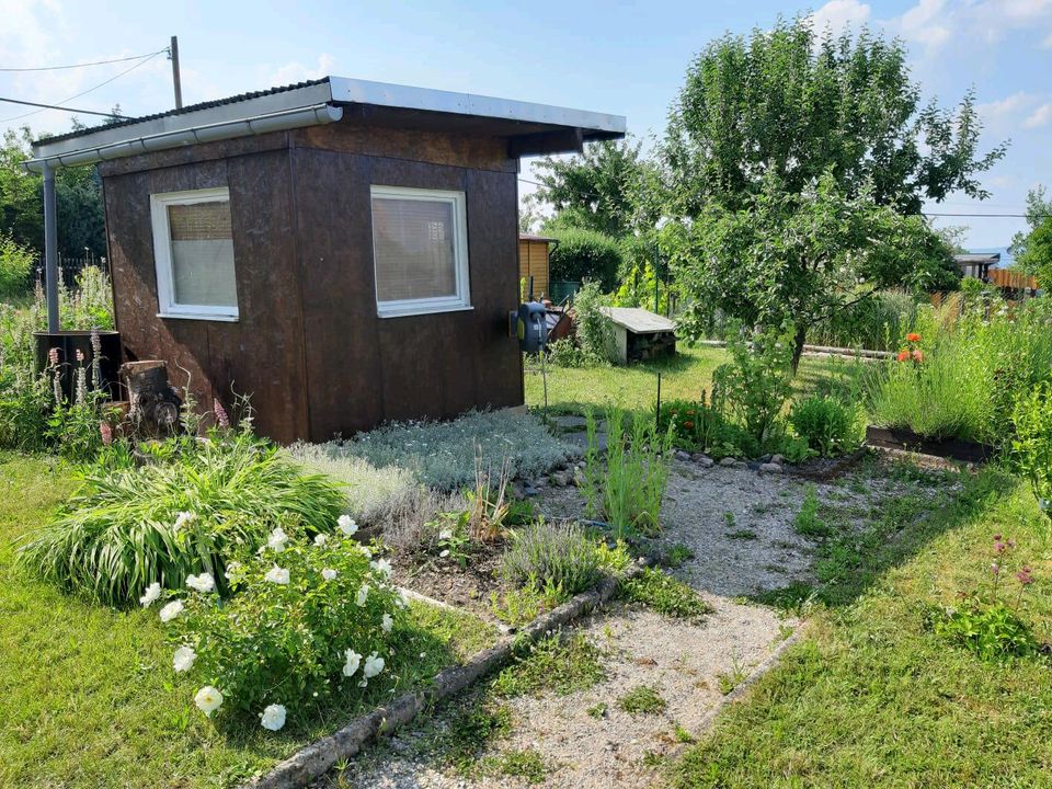 Verkaufe meinen Garten im KGV " Cotta am Spitzberg " in Bahretal