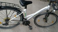 Zündapp Silver 2.0 Damenfahrrad 28" Zoll Trekking alles in O. Berlin - Hohenschönhausen Vorschau