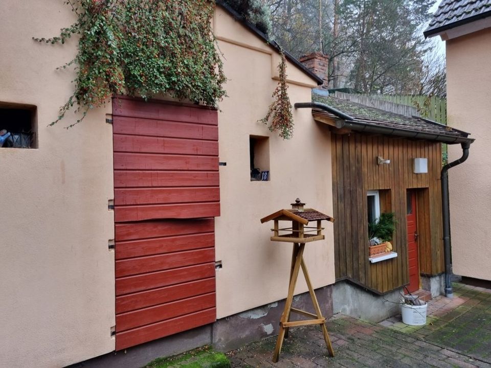 Gemütliches EFH am Waldrand mit Blick ins Tal - hier kann man gleich einziehen in Höchst im Odenwald