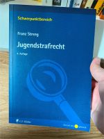 Lehrbuch Jugendstrafrecht von Franz Streng, 4. Auflage Thüringen - Jena Vorschau