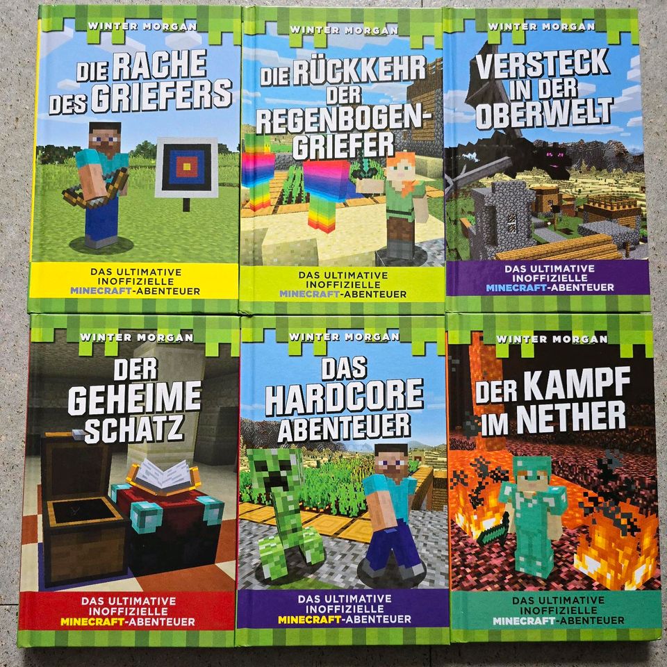 Minecraft Bücher in Nordhausen