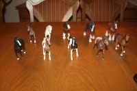 Konvolut Schleich Pferde Schleswig-Holstein - Wohlde Vorschau