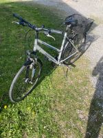 Kalkhoff Voyager Damenrad, Fahrrad 28 Zoll Baden-Württemberg - Warthausen Vorschau