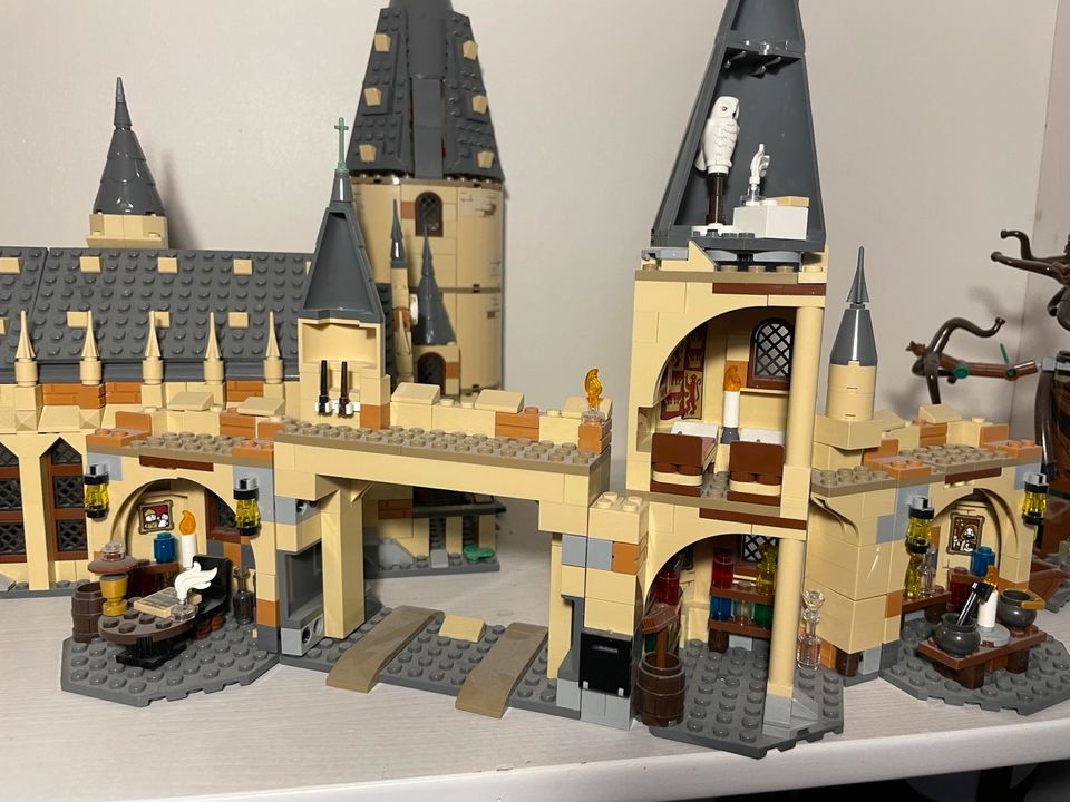 Harry Potter Mega Set (4 Sets!) in Öhringen