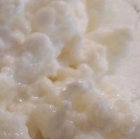 Milchkefir  Bio Kefir, Joghurt, Ayran fermentieren , probiotisch Bayern - Landsberg (Lech) Vorschau