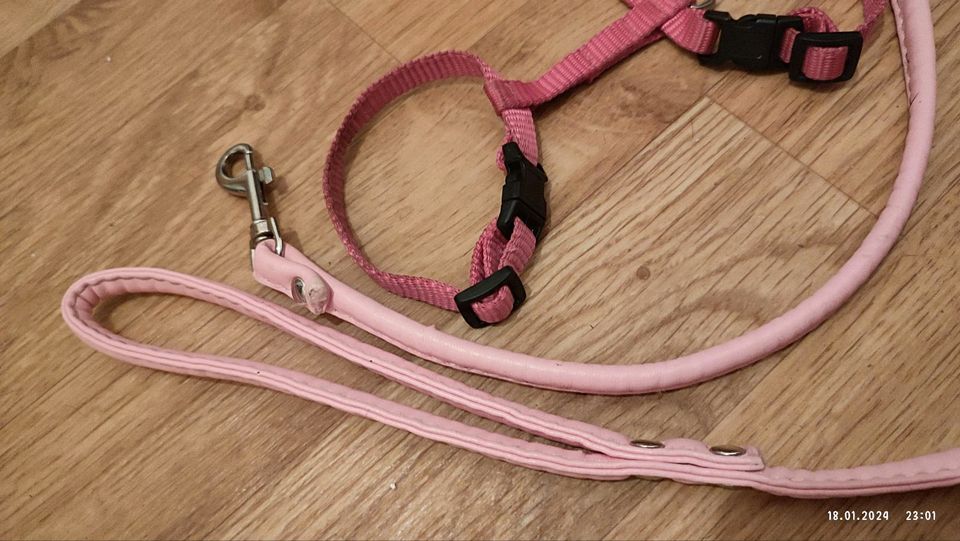 Set Nylon Geschirr Rosa XXXS & Leine rosa 128cm schlaufe Leder in Schwedt (Oder)