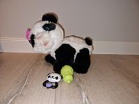 Furreal friends Panda Pom Pom  Pandabär Schwerin - Neumühle- Sacktannen Vorschau