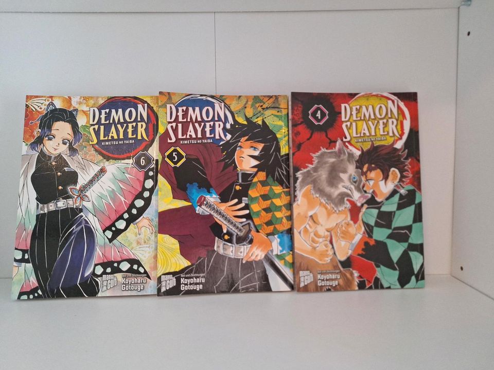 Demon Slayer Manga Band 1-19 in Laatzen