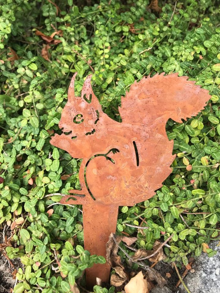 Stecker Eichhörnchen Rost Rostdeko Dekostecker Herbstdeko Herbst in Wiesmoor