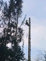 Alle Arbeiten rund um Ihre Bäume Niedersachsen - Bad Lauterberg im Harz Vorschau