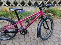 Kubike 20 L pink lasur Bayern - Kempten Vorschau