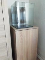 Nano Aquarium Denerle 30l Nordrhein-Westfalen - Bad Salzuflen Vorschau