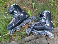 Inline Skates Inlineskates Gr. 41 Dresden - Seidnitz/Dobritz Vorschau