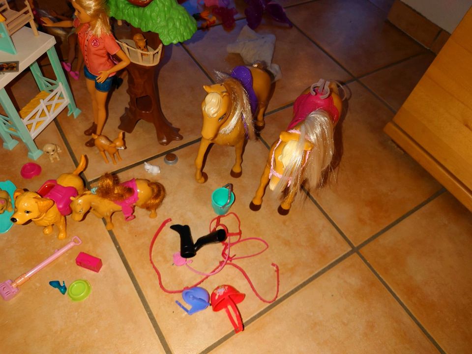 ++Top++ Diverses Barbie Spielzeug - Puppen, Zubehör in Emmerthal