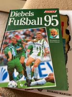 Diebels Fußball 1995 gebunden Falken Brandenburg - Werben (Spreewald) Vorschau