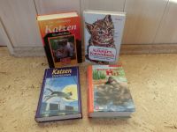 4 Katzen Bücher Buch Knaurs Katzenbuch Piri Katzen Geschichten Baden-Württemberg - Dettingen an der Iller Vorschau