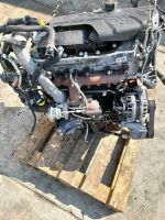 Motor  Fiat Ducato 2.3d F1AE3481D 130ps  11tkm Mecklenburg-Vorpommern - Neubrandenburg Vorschau