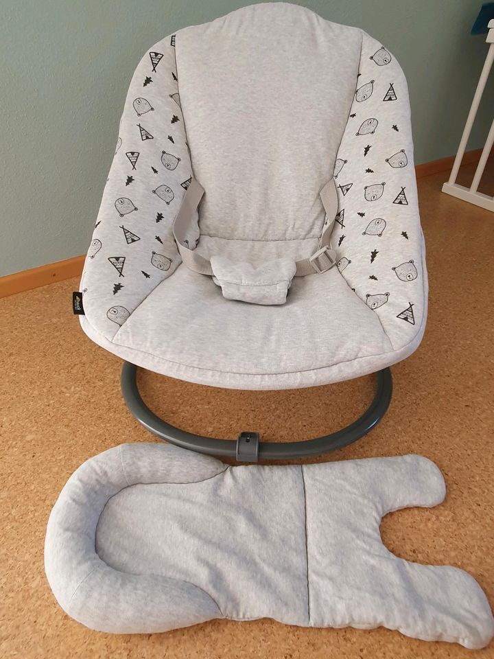 Babywippe Hauck Alpha + Bouncer Premium in Schiltberg