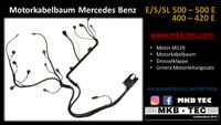 Mercedes M119 Motorkabelbaum W124 R129 W140 Drosselklappe Hessen - Fernwald Vorschau