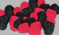 16005 Him & Brombeeren 1kg Beutel Nordrhein-Westfalen - Gladbeck Vorschau