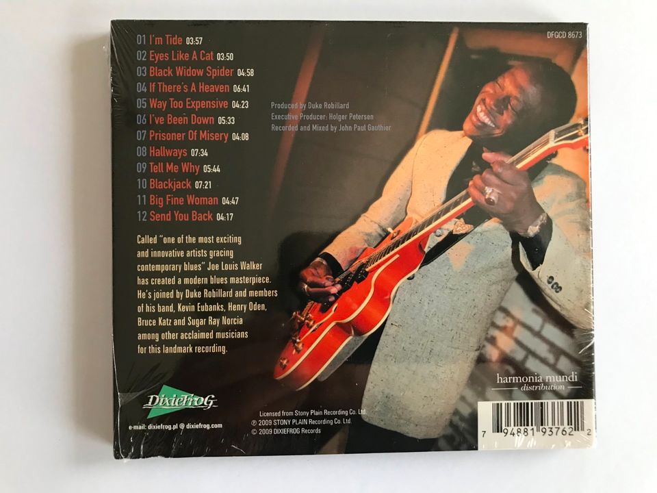 Joe Louis Walker - Between A Rock And The Blues in Sauerlach