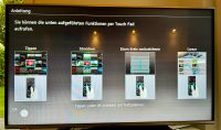 Panasonic 55 Zoll LCD TV TX55ASM655 München - Hadern Vorschau