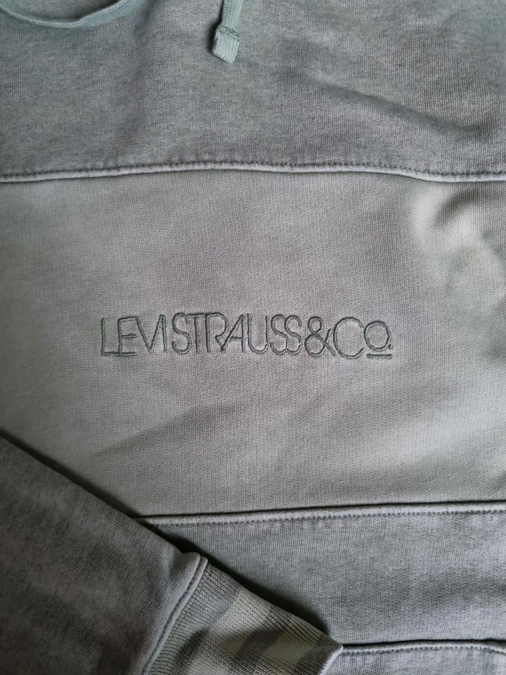 Hoodie Levi's used-look washed green in Bonn