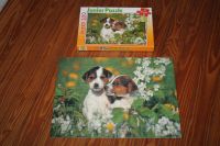 Puzzle Junior Puzzle Super 100 Teile Hunde Jack Russel Gute Freun Wandsbek - Hamburg Marienthal Vorschau