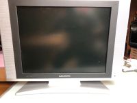 TV 20“ 51 cm Grundig Hessen - Rodgau Vorschau