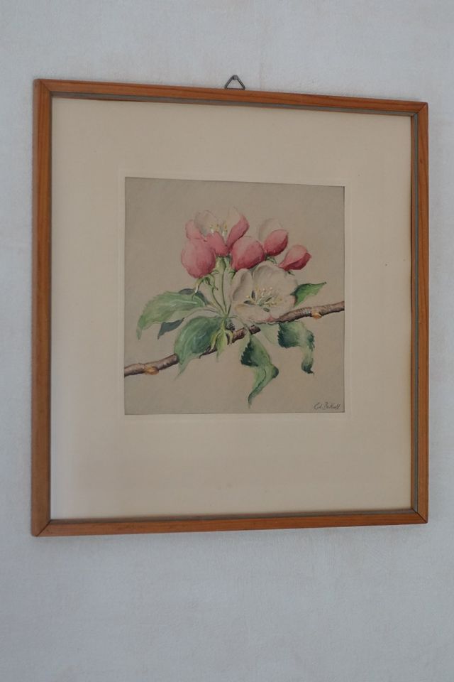 Aquarellbild "Kirschblüte" 1920er Jahre Holzrahmen in Dreieich