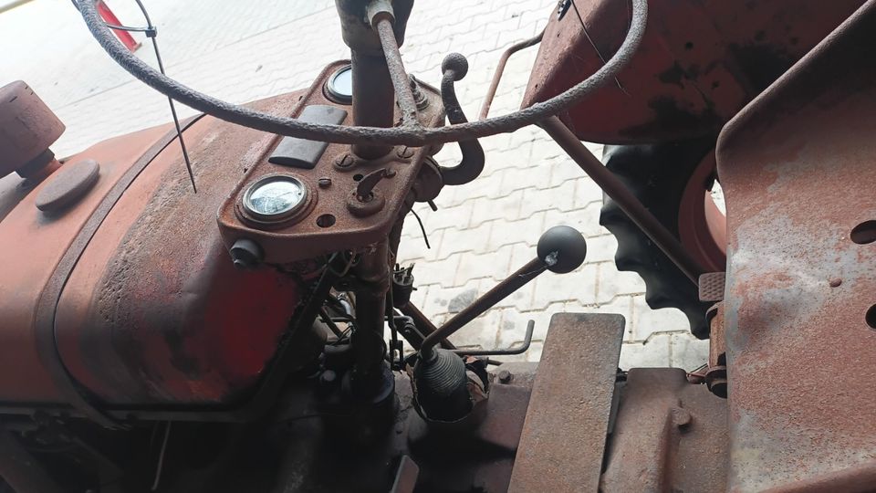Steyr 80 Oldtimer Traktor Scheunenfund in Borken