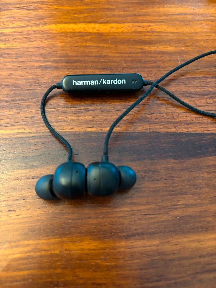 Harmon Kardon FLY BT In-ear Kopfhörer in Höhr-Grenzhausen