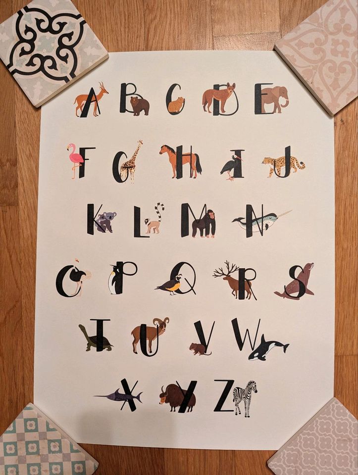 Animals Of The World Alphabet Poster