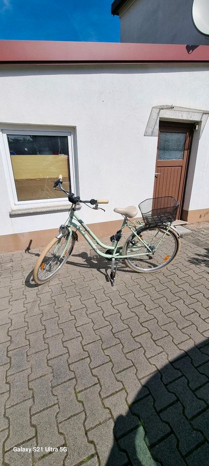 Damen Fahrrad in Groß-Gerau