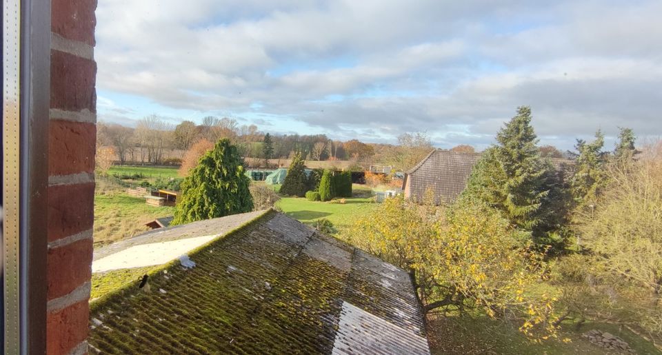 Herrschaftliches Gutshaus in frischer Natur, mit großem Bauland und riesigem Grundstück , im Speckgürtel Hamburgs in Bad Oldesloe