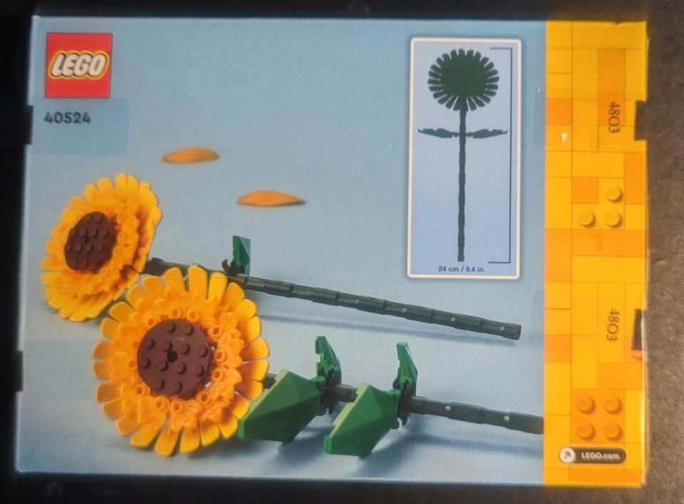 LEGO 40524 Creator Sonnenblumen Neu & OVP in Bensheim