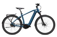 Reduziert *NEU* FLYER E-Bike Gotour 6 7.23 // Zweiradhaus Grave Niedersachsen - Hagen am Teutoburger Wald Vorschau