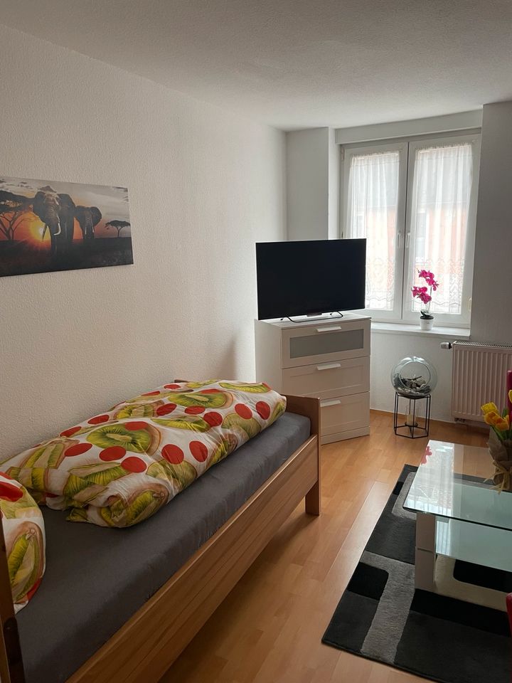 Vermiete Ferienwohnung Monteurs Wohnung in Mühlhausen